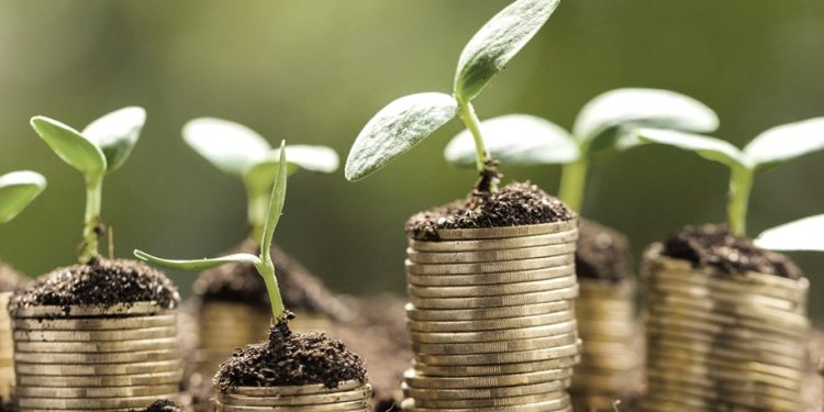 Bangun Kesejahteraan Melalui Wakaf: Menggunakan Harta untuk Kebaikan